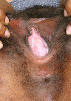 Miltie in black women, Miltie (mil020) ATK Exotics: Miltie (Miltie in black women)