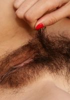 Mitena spreads her mature hairy pussy, Mitena (mit003) ATK Natural & Hairy: Mitena (Mitena spreads her mature hairy pussy)