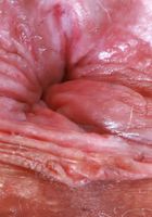 Natasha Kaur's pink panties hit the floor, Natasha Kaur (nat151) ATK Natural & Hairy: Natasha Kaur (Natasha Kaur's pink panties hit the floor)