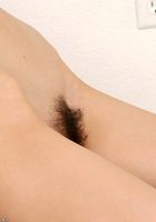 Nicki in latinas, Nicki (nic027) ATK Exotics: Nicki (Nicki in latinas)