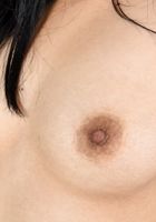 Omorose in asians, Omorose (omo001) ATK Exotics: Omorose (Omorose in asians)