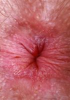 ATK Natural & Hairy: Pearl Sage (Pearl Sage's dress exposes everything)