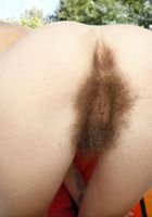 Pearl Sage in hairy fun, Pearl Sage (pea013) ATK Natural & Hairy: Pearl Sage (Pearl Sage in hairy fun)