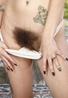 Pearl Sage in young and hairy, Pearl Sage (pea013) ATK Natural & Hairy: Pearl Sage (Pearl Sage in young and hairy)