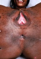 Poppy Cox from ATK Exotics