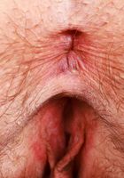 Riley Rose wants to be your pet, Riley Rose (ril021) ATK Natural & Hairy: Riley Rose (Riley Rose wants to be your pet)