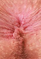 Sia Wood Ripped Jeans Hairy Bush, Sia Wood (sia004) ATK Petites: Sia Wood (Sia Wood Ripped Jeans Hairy Bush)
