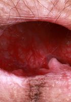 Sia Wood Stockings Big Bush Spreading, Sia Wood (sia004) ATK Natural & Hairy: Sia Wood (Sia Wood Stockings Big Bush Spreading)