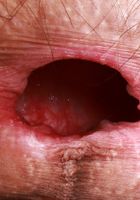 Sia Wood in leather and boots, Sia Wood (sia004) ATK Petites: Sia Wood (Sia Wood in leather and boots)