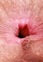 Sia Wood Hot Gaping Asshole, Sia Wood (sia004) ATK Natural & Hairy: Sia Wood (Sia Wood Hot Gaping Asshole)