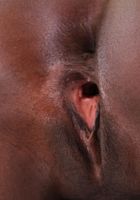 ATK Exotics: Sunyane (Sunyane's Chocolate Booty Spread)