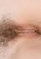Rose Vermillion in young and hairy, Rose Vermillion (ver102) ATK Natural & Hairy: Rose Vermillion (Rose Vermillion in young and hairy)