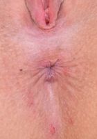 Violet Winters spreads herself open for the camera, Violet Winters (vio023) ATK Exotics: Violet Winters (Violet Winters spreads herself open for the camera)