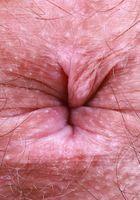 Violet Viper from ATK Natural & Hairy